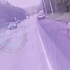 Момент смертельной аварии на трассе Курск – Воронеж сняли на видео