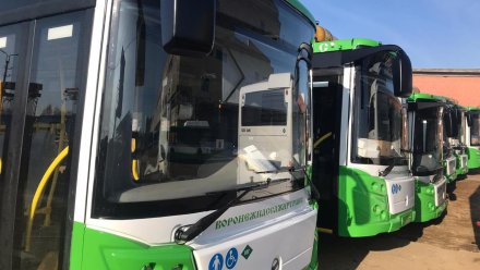 Более 60 новых низкопольных автобусов появятся на улицах Воронежа до конца года