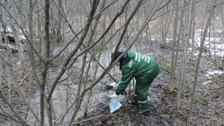 Воронежская УК выплатила почти 4 млн за затопленный нечистотами лес в Краснолесном