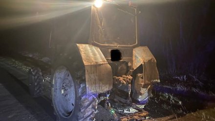 На трассе в Воронежской области «Лада» столкнулась с трактором: 5 человек пострадали
