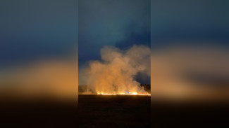 Воронежцы сообщили о загоревшемся из-за неудачного запуска салюта поле