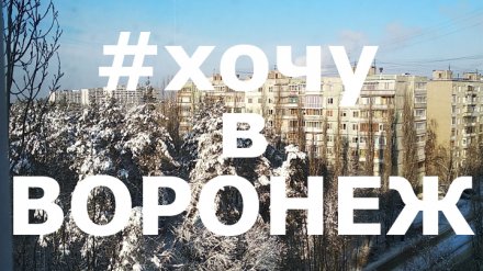 12 лучших фотографий воронежцев из соцсетей за неделю