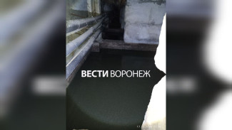 Подвал ужасов. Жильцы воронежской 9-этажки пожаловались на затопленное отходами укрытие