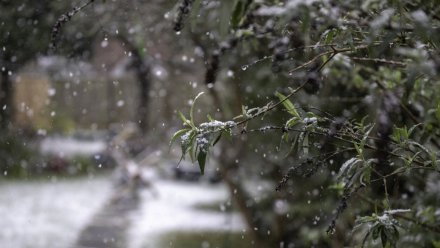 Снег с дождём придёт в Воронежскую область