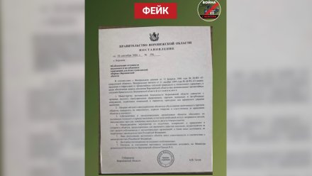 В Воронеже распространили фейк о переоборудовании подземных парковок в укрытия