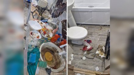 «Дикий ужас». Воронежцы показали захламлённое жильё 18-летней квартирантки