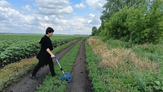 В воронежском «Дивногорье» незаконно распахали землю