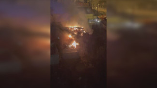Мощный пожар уничтожил дом в центре Воронежа: появилось видео