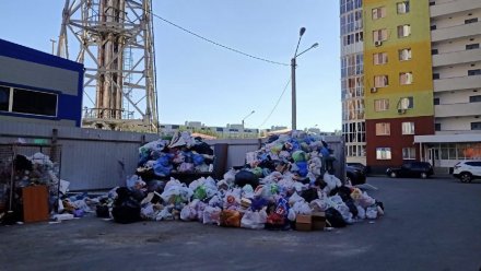Воронежцы пожаловались на гору пакетов с мусором во дворе жилого дома