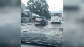 Воронежцы показали на видео последствия июньского урагана в городе