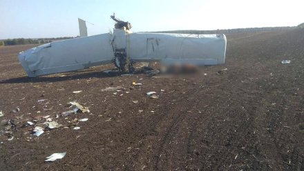 СМИ: при падении самолёта под Тулой погиб пилот из Воронежской области