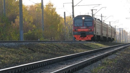Воронежцы смогут купить билеты на пригородные поезда со скидкой
