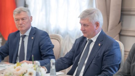 Губернатор анонсировал строительство элеватора для семян подсолнечника в Воронежской области