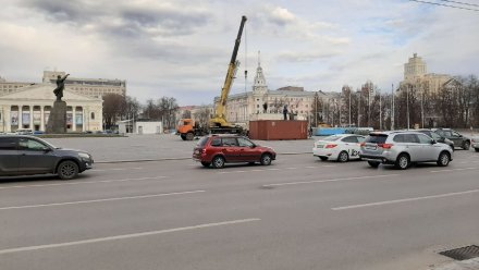 На площади Воронежа начали установку главной новогодней ёлки
