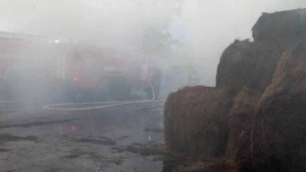 В богучарском селе сгорело 13 тонн сена