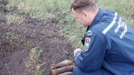 В Воронежской области взорвали две миномётные мины