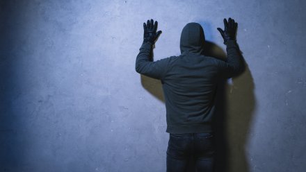 В Воронежской области снизилась уличная преступность