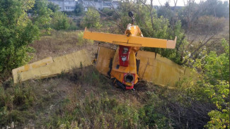 Пилот из Воронежа погиб при крушении легкомоторного самолёта