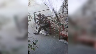 Появилось видео жестокого избиения 2-летнего мальчика в воронежском дворе
