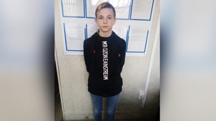 СК и полиция попросили помощи воронежцев в поисках 15-летнего подростка