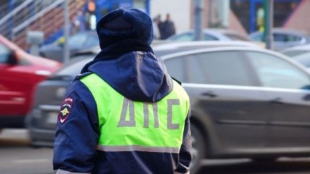 Воронежские росгвардейцы заблокировали проезд пьяному водителю