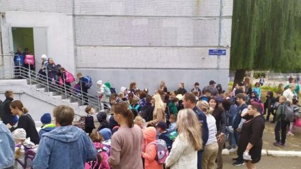 Воронежцы возмутились давкой на входах в школу из-за новых коронавирусных правил 