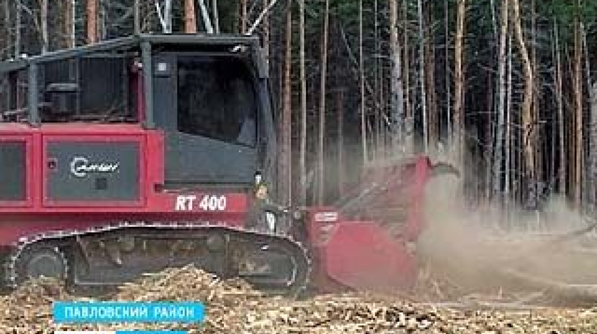 На борьбу с погибшим лесом вышел первый в Воронежской области мульчер