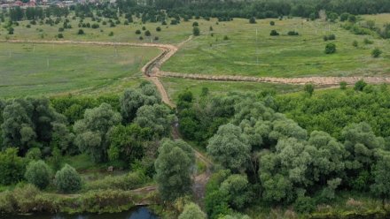 Росприроднадзор заинтересовался вырытой траншеей рядом с озером Круглое в Воронеже 