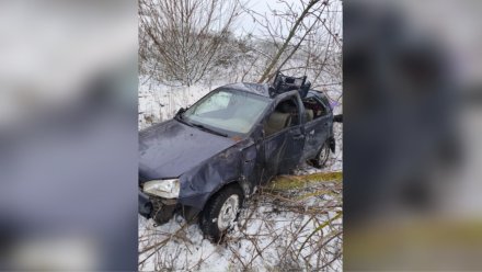 Водитель «Лады» пострадала в ДТП с деревом в Воронежской области