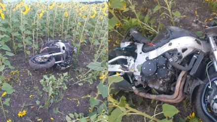 В Воронежской области мотоцикл вылетел в кювет и опрокинулся: водитель погиб