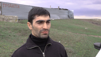 Владелец коров объяснили появление навоза и останков скота у реки в Воронежской области