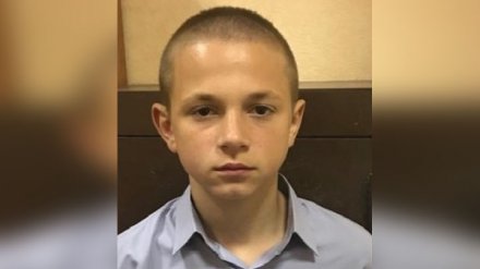 В Воронеже ушёл из дома и не вернулся 14-летний школьник