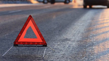 На воронежской трассе «ВАЗ» вылетел в кювет: пострадали четверо