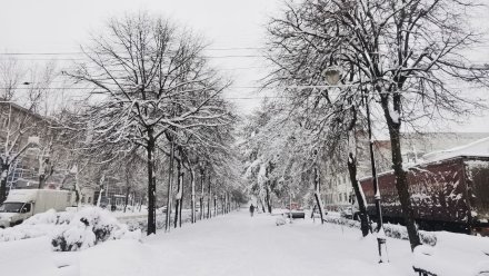 Воронежцы поделились фото и видео мощнейшего мартовского снегопада