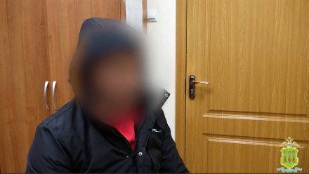 Воронежца арестовали за обман пенсионера в Пензе на 4 тысячи евро