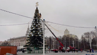 В Воронеже нарядили главную городскую ёлку