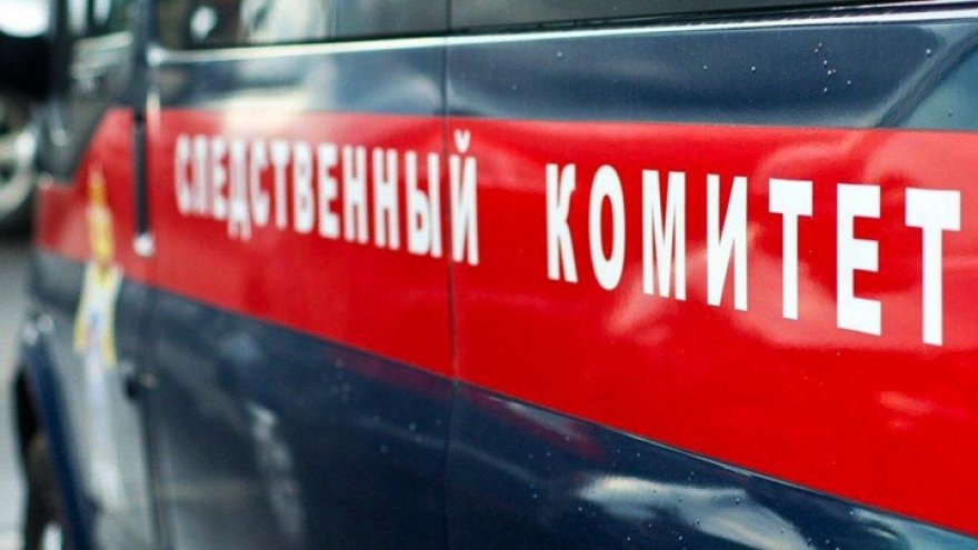 СК: найденный на границе с Воронежской областью 3-летний мальчик умер 2 дня назад