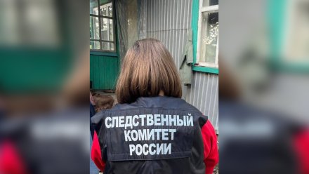 В Лискинском районе мужчина кувалдой убил соседа