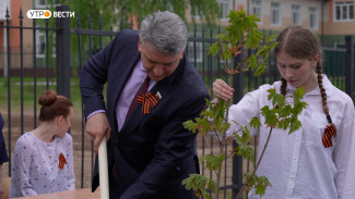 В воронежском микрорайоне высадили деревья в память о погибших на войне земляках