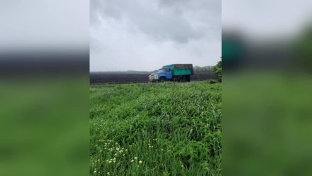 При выгрузке зерна в поле в Воронежской области грузовик раздавил рабочего