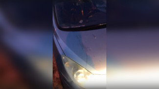 В Воронеже автомобилистка поссорилась с превратившими дорогу в зону отдыха жителями