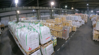 В Воронежскую области ввезли рекордно мало импортных семян