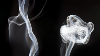 Воронежский бизнесмен ответит в суде за загрязнение воздуха сажей