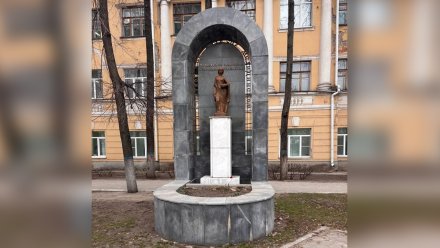 В центре Воронежа начал разрушаться уникальный памятник медицинским работникам