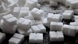 «Продимекс» оценил будущий урожай сахарной свёклы