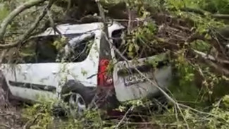 Последствия падения огромного дерева на «Ладу» в Воронеже сняли на видео 