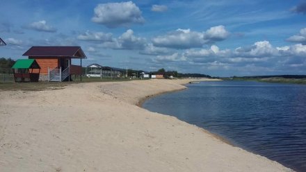 Турбазу «Сосновый бор» в Воронеже снова выставили на продажу