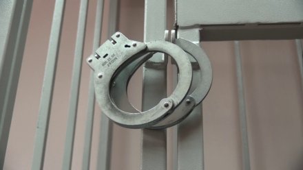 Наркодилеров с Кубы отправили в колонию в Воронеже