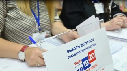 Появились предварительные итоги голосования в Воронежской области