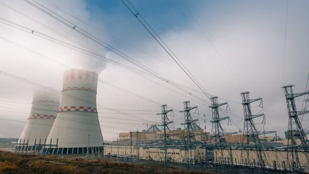 Пензенец попал под дело после сообщений о бомбе на Нововоронежской АЭС